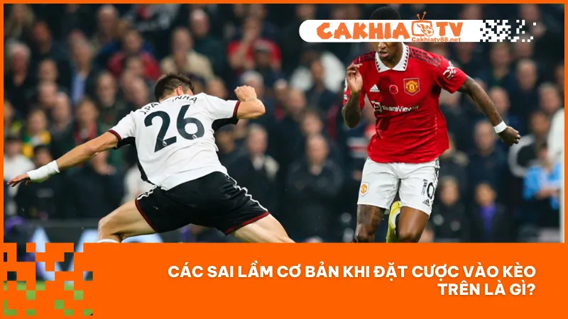 Đừng xem nhẹ những sai sót phổ biến khi chọn cửa trên