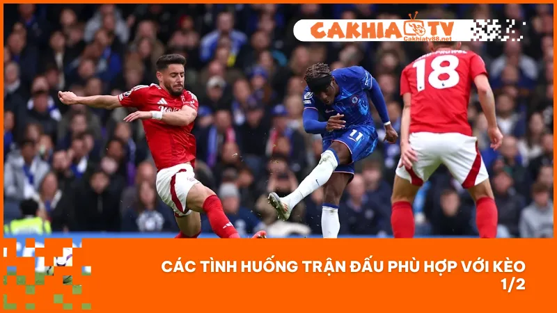 Nên áp dụng kèo 1/2 khi hai đội có sự chênh lệch vừa phải hoặc lối chơi khó đoán