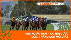 Kèo Ngựa Thái – Cơ Hội Cược Lớn, Thắng Lớn Mỗi Giây