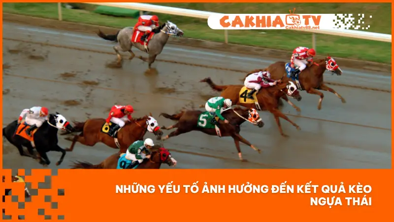 Khi chơi kèo Ngựa Thái cần phải nắm bắt yếu tố ảnh hưởng đến kết quả của cuộc đua
