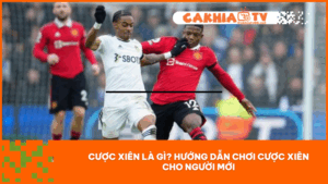 hướng dẫn chơi cược xiên cho người mới